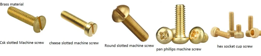 Brass H62 Pan/Countersunk Head Machine Screws/Self Tapping Wood Screw/Machine Screw
