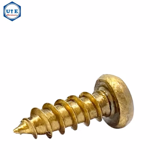 Brass H62 Pan/Countersunk Head Machine Screws/Self Tapping Wood Screw/Machine Screw