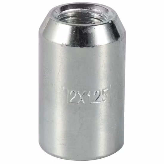 Black Hexagon Head Chamfer End Rivet Nut