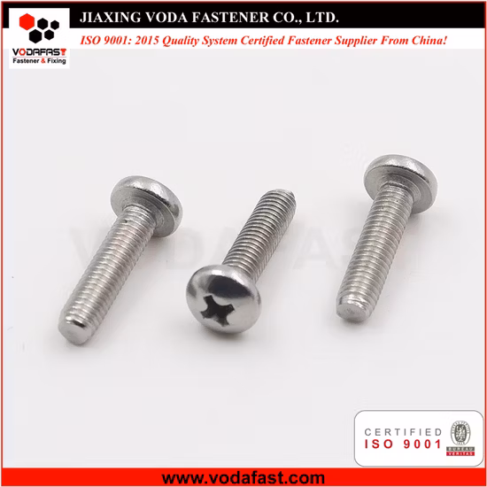 Stainless Steel Machine Screw Self Tapping Screw Self Drilling Screw Socket Screw Wood Screw Set Screws